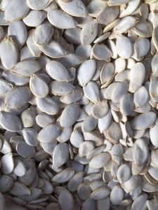 Inshell Punpkin Seeds, Snow White