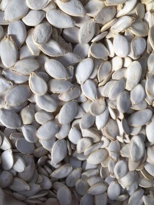Inshell Punpkin Seeds, Snow White