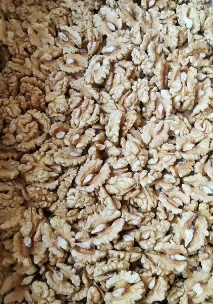 Walnut Kernels