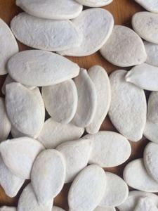 Inshell Pumpkin Seeds, Roasted and Salted, Snow White