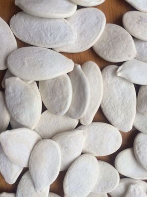 Inshell Pumpkin Seeds, Roasted and Salted, Snow White