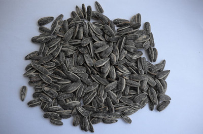 Inshell Sunflower Seeds, Roasted and Salted